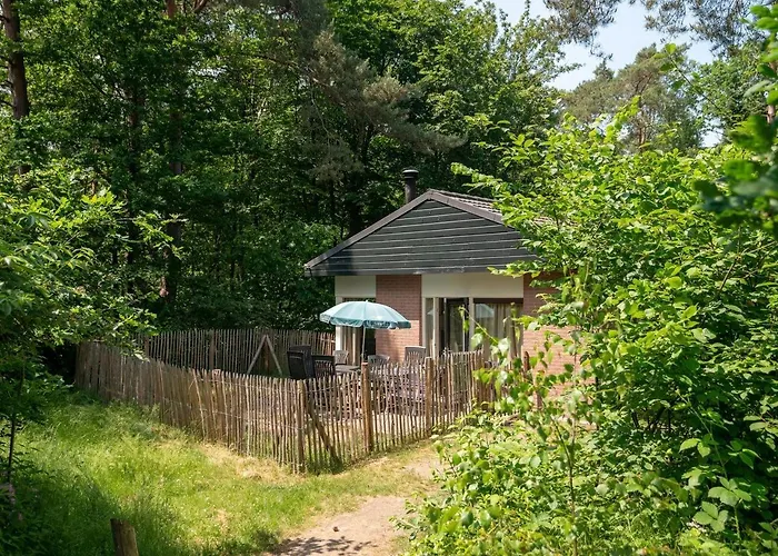 Vakantiehuis Comfort 6-person Dog In The Landal Heideheuvel Beekbergen