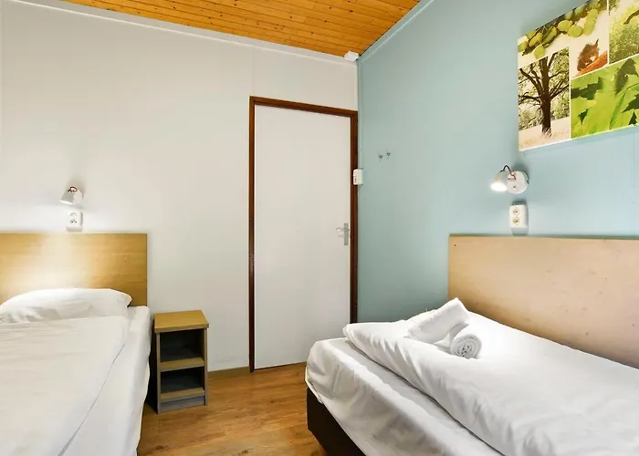 Comfort 6-person Dog In The Landal Heideheuvel Beekbergen