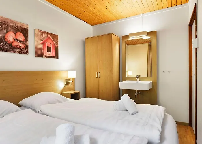 Vakantiehuis Comfort 6-person Dog In The Landal Heideheuvel *