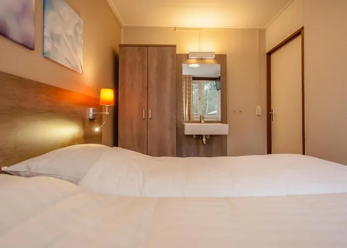 Comfort 6-person Dog In The Landal Heideheuvel Beekbergen