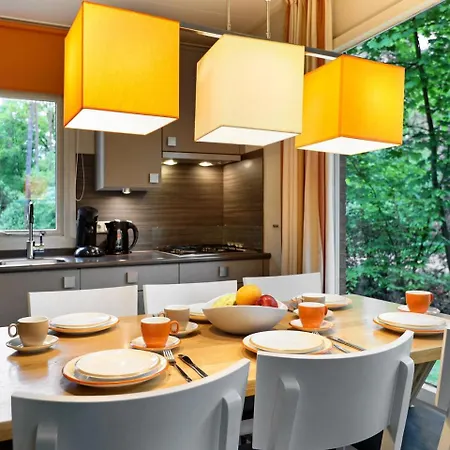 Comfort 6-person Dog In The Landal Heideheuvel