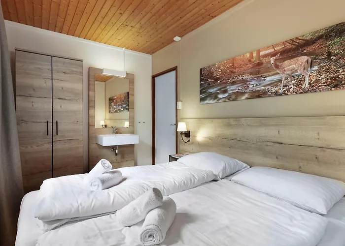 Comfort 6-person Dog In The Landal Heideheuvel Beekbergen