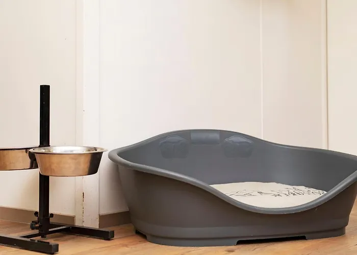 Comfort 6-person Dog In The Landal Heideheuvel Semesterbostad *